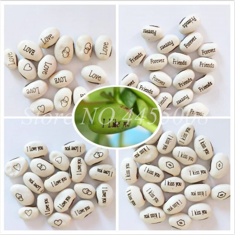 100 PCS Magic Growing Message Beans Bonsais Magic Bean English Magic Bean Potted Green Office Home Decor for Flower Pot Planter
100 PCS Magic Growing Message Beans Bonsais Magic Bean English Magic Bean Potted Green Office Home Decor for Flower Pot Planter
