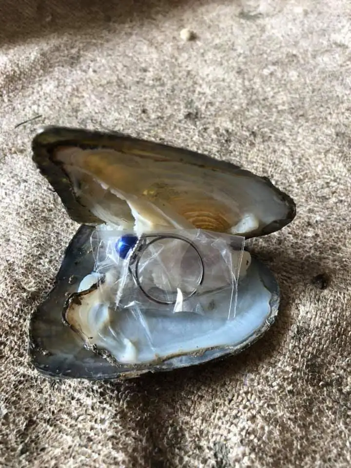 5pcs Jewelry Oyster Sterling Sliver Pearls Ring /Earrings/Pendant inside oysters AAA round pearls fortune Freshwater oyster N33
5pcs Jewelry Oyster Sterling Sliver Pearls Ring /Earrings/Pendant inside oysters AAA round pearls fortune Freshwater oyster N33