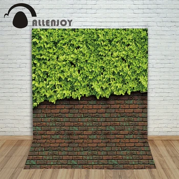Allenjoy Background for photos Brick wall green leaves children's photographic camera backdrop vinyl
Allenjoy Background for photos Brick wall green leaves children's photographic camera backdrop vinyl