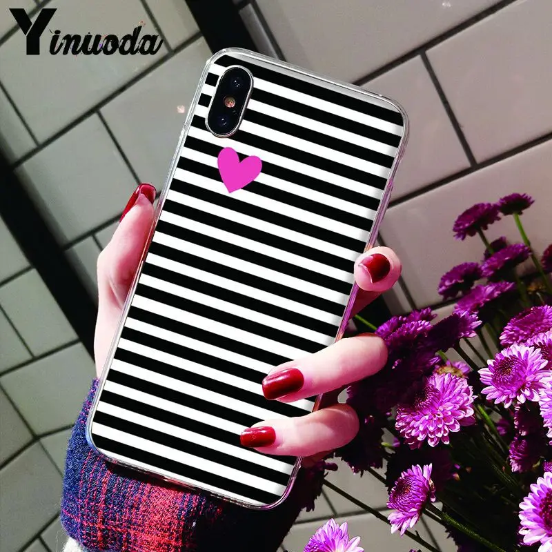 Animal Black white Zebra Stripe