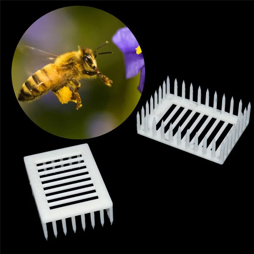 1PCS Needle type Bee Boxes Plastic Queen Marker Cage Clip Bee Catcher Beekeeper Bee Tools Beekeeping EquipmentCage for Queen Bee
1PCS Needle type Bee Boxes Plastic Queen Marker Cage Clip Bee Catcher Beekeeper Bee Tools Beekeeping EquipmentCage for Queen Bee