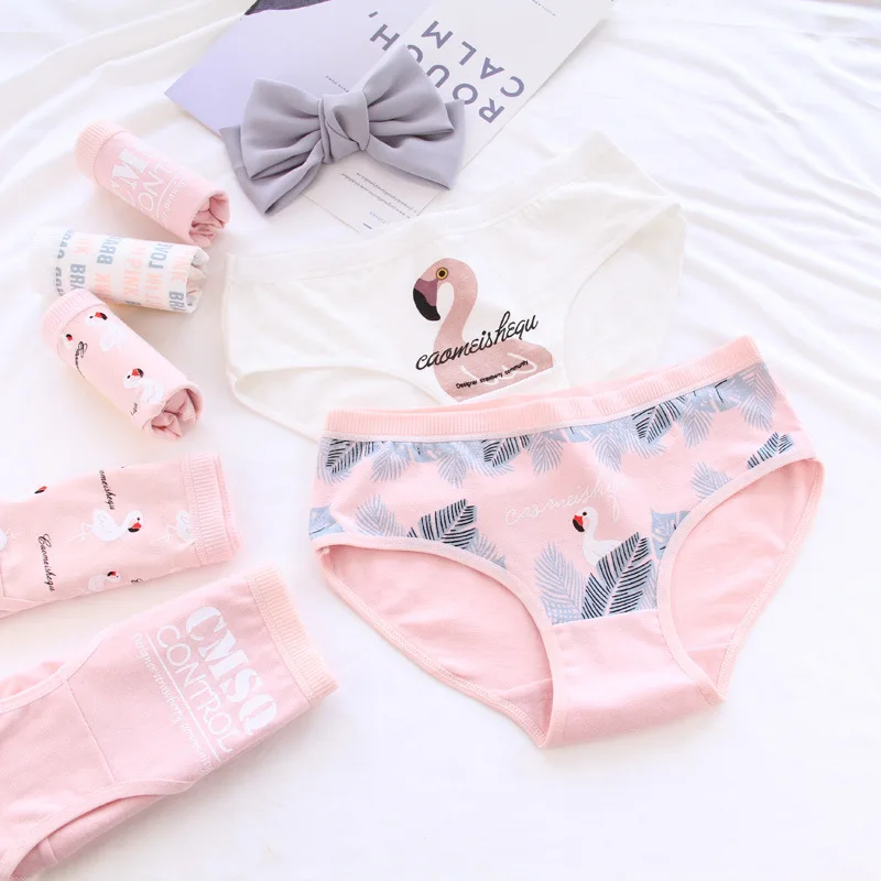 New Model 2019 4 teen girl written Flamingos underwear comfortable Cotton underwear underwear, Children kids panties
New Model 2019 4 teen girl written Flamingos underwear comfortable Cotton underwear underwear, Children kids panties