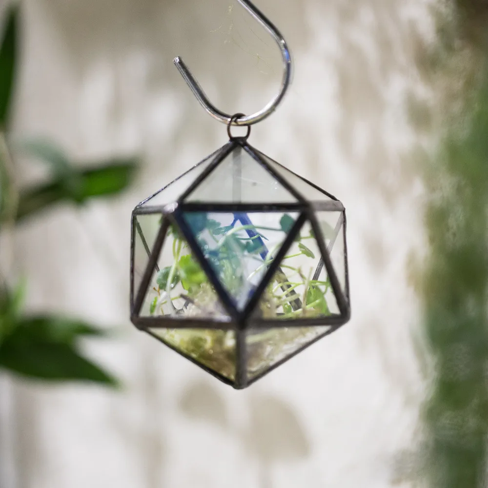 Modern Hanging Succulent Plant Fern Moss Planter Microscape Triangular Mine Round Ball Glass Geometric Terrarium Flower Pot NCYP
Modern Hanging Succulent Plant Fern Moss Planter Microscape Triangular Mine Round Ball Glass Geometric Terrarium Flower Pot NCYP