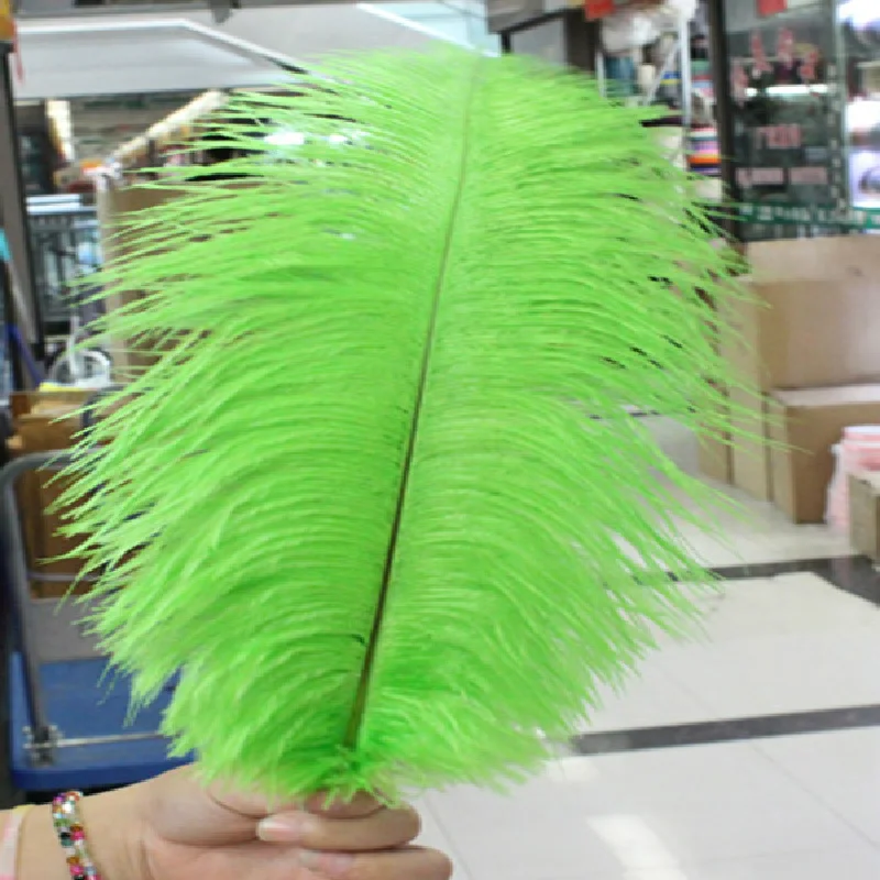 New.50pcs high-quality hotel supplies birthday party supplies natural green feather feather 25-30cm 10-12 inches Free shipping
New.50pcs high-quality hotel supplies birthday party supplies natural green feather feather 25-30cm 10-12 inches Free shipping