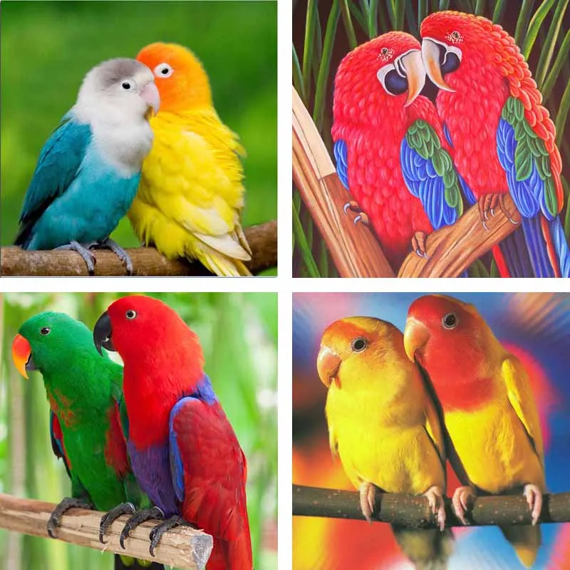 DIY 5D Suqare Diamond Embroidery Animal Cross Stitch Parrot Love Birds Square Full Diamond Mosaic Picture Pasted Needlework 
DIY 5D Suqare Diamond Embroidery Animal Cross Stitch Parrot Love Birds Square Full Diamond Mosaic Picture Pasted Needlework