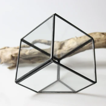 Geometric Fern Moss Succulents Glass Terrarium Plant Pot Box Flower Vase Decor .
Geometric Fern Moss Succulents Glass Terrarium Plant Pot Box Flower Vase Decor .