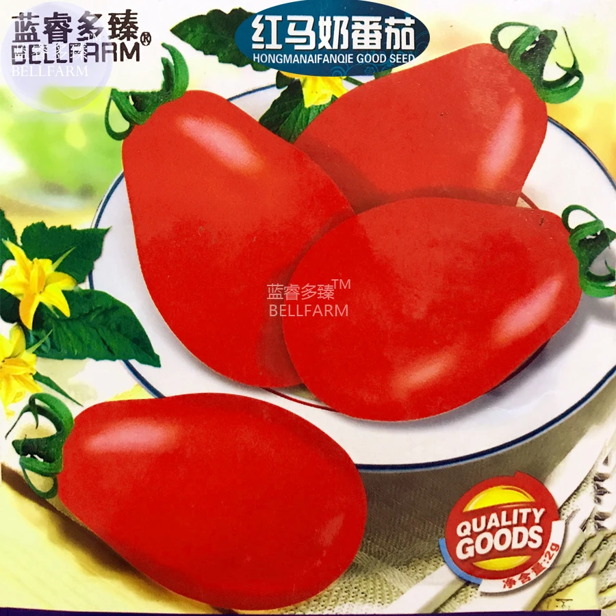 BELLFARM Cherry Tomato Red 