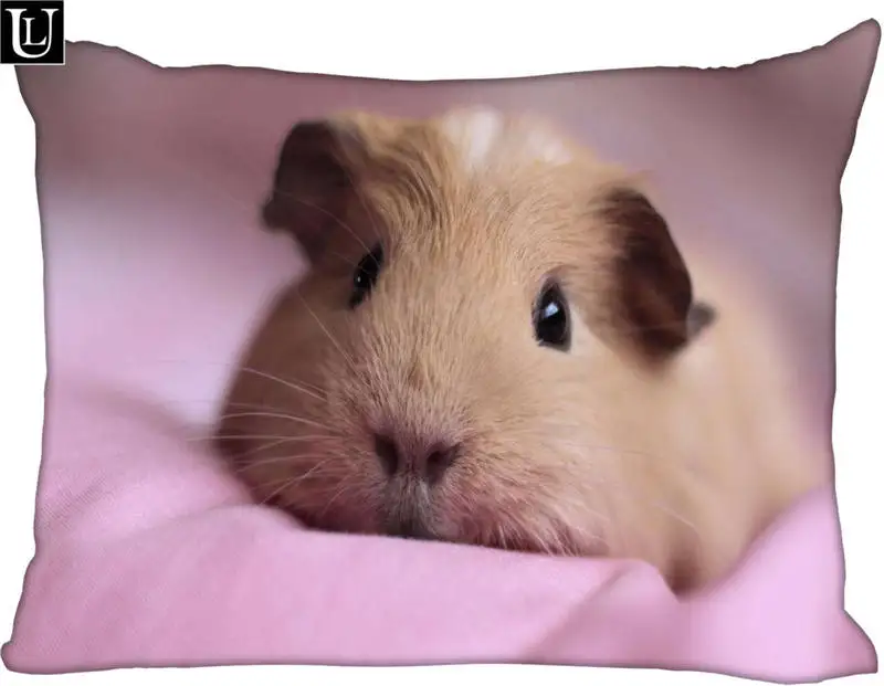 Custom Cute Guinea Pig Rectangle Pillowcase zipper Classic Pillow Case Customized Pillow Case Covers (Two Sides)
Custom Cute Guinea Pig Rectangle Pillowcase zipper Classic Pillow Case Customized Pillow Case Covers (Two Sides)