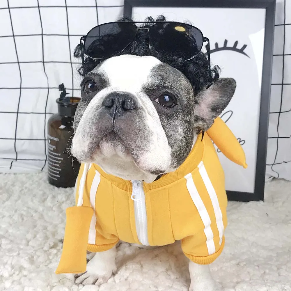 Cool Pitbull dog Sport clothes shirt hoodie with Nunchakus Fleece small dog pet cat coat jacket pajamas clothing for chihuahua
Cool Pitbull dog Sport clothes shirt hoodie with Nunchakus Fleece small dog pet cat coat jacket pajamas clothing for chihuahua