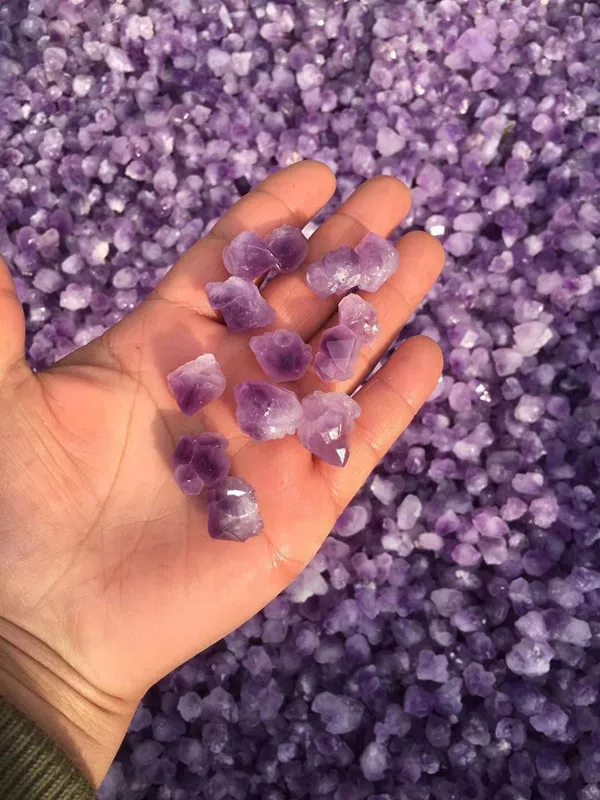 Natural Rough Specimen Amethyst Point Quartz Wolf Teeth Wand Crystal Natural stones and minerals Fish tank stone 10pcs/lot
Natural Rough Specimen Amethyst Point Quartz Wolf Teeth Wand Crystal Natural stones and minerals Fish tank stone 10pcs/lot