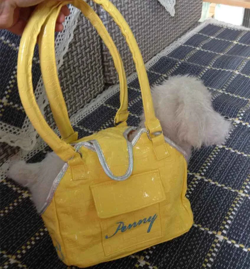 7 In Extra Small Pet Carrier Mini Dog Tote Carry Bag Hamsters Teacup Dogs Outdoor Handbag Pink Yellow
7 In Extra Small Pet Carrier Mini Dog Tote Carry Bag Hamsters Teacup Dogs Outdoor Handbag Pink Yellow