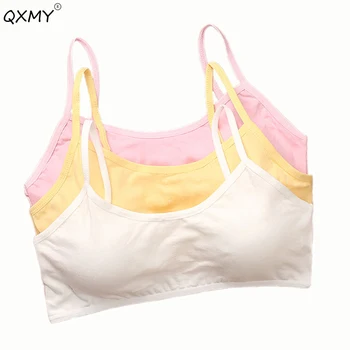 teenager girls training bras cotton solid baby girls underwear school kids training teenager bras free size underwear8-13T
teenager girls training bras cotton solid baby girls underwear school kids training teenager bras free size underwear8-13T