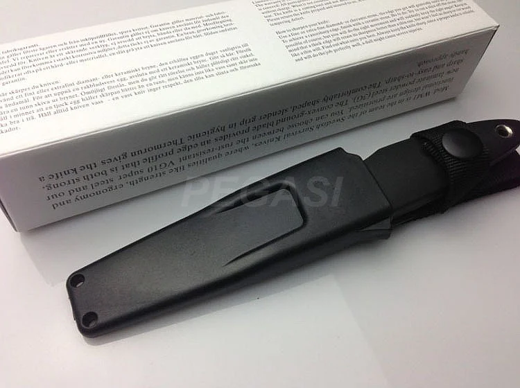 2118248250_742635196