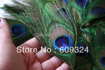 FREE SHIPPING -Peacock Eye Feather Trimmed peacock feather for jewelry craft, scrapbook, or hairpiece
FREE SHIPPING -Peacock Eye Feather Trimmed peacock feather for jewelry craft, scrapbook, or hairpiece