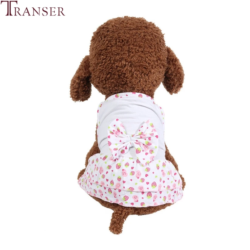 Transer Sweet Style Pet Summer Dress Strawberry Print Strappy Small Dog Dress Pet Dog Apparel Supply Dog Clothes 90610
Transer Sweet Style Pet Summer Dress Strawberry Print Strappy Small Dog Dress Pet Dog Apparel Supply Dog Clothes 90610