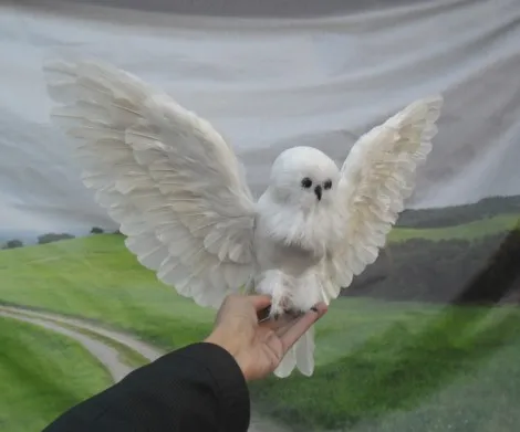 simulation owl feathers bird 30x60cm spreading wings owl model craft,photography,teaching props,decoration a1916
simulation owl feathers bird 30x60cm spreading wings owl model craft,photography,teaching props,decoration a1916