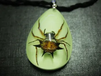 FREE SHIPPING Holiday sales 20 luminous Resin Real Rare Spider king fashion pendant
FREE SHIPPING Holiday sales 20 luminous Resin Real Rare Spider king fashion pendant