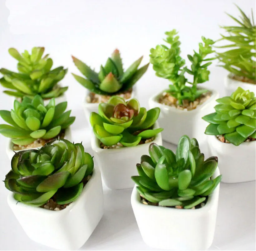 1pc Home decoration Bonsai artificial cactus succulent plant green color fake plant flower pots planters wedding gifts
1pc Home decoration Bonsai artificial cactus succulent plant green color fake plant flower pots planters wedding gifts