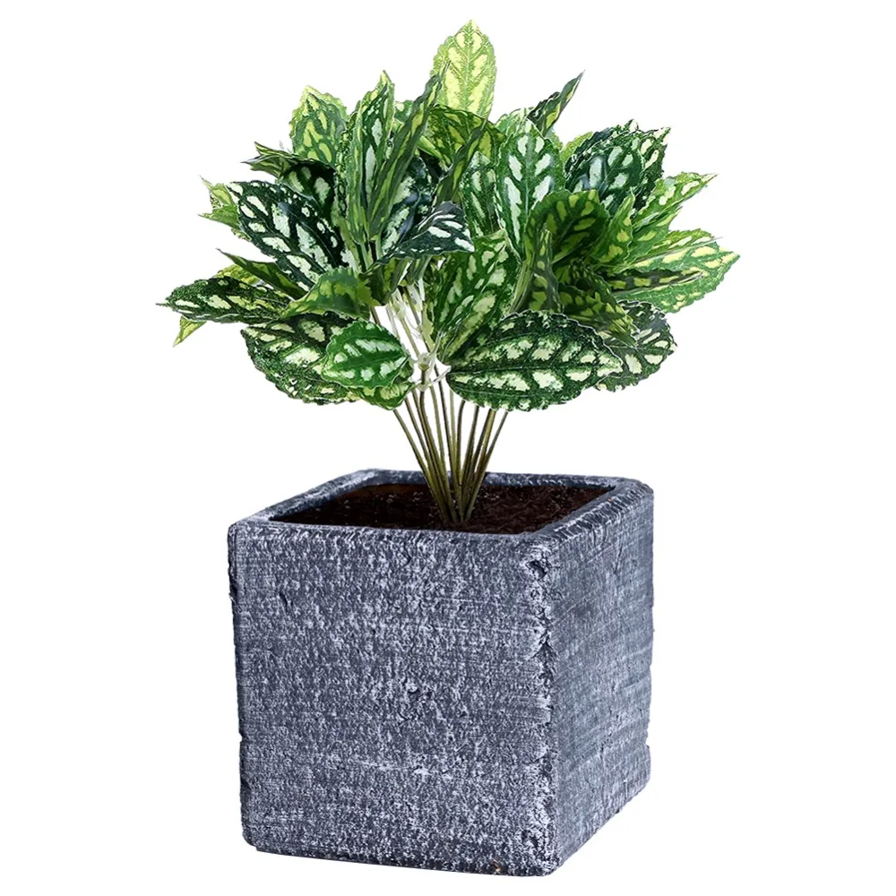 5 Inch ,6 Inch Cement Square Succulent Cactus Planter Plant Containers Flower Pots Windowsill Planter
5 Inch ,6 Inch Cement Square Succulent Cactus Planter Plant Containers Flower Pots Windowsill Planter