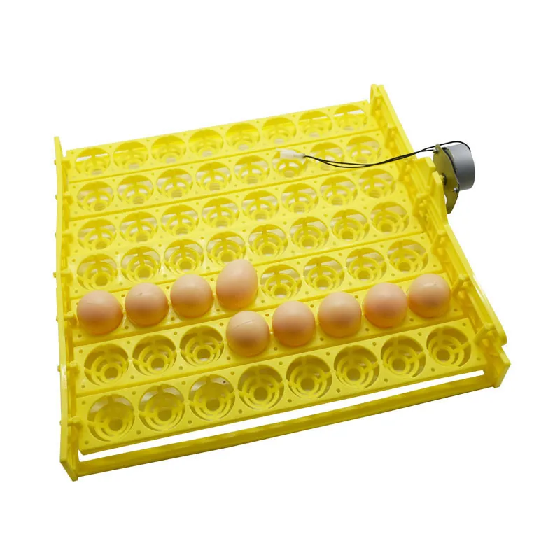 56 Eggs Incubator 220V/110V Chicken Duck And Other Poultry Automatic Incubator Poultry Eggs Poultry Incubation Equipment 1set
56 Eggs Incubator 220V/110V Chicken Duck And Other Poultry Automatic Incubator Poultry Eggs Poultry Incubation Equipment 1set