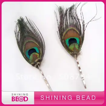Fashion Peacock Feather Clip +Free Shipping+Fashion Design 
Fashion Peacock Feather Clip +Free Shipping+Fashion Design