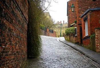 Laeacco Town Brick House Road Photography Backgrounds Customized Photographic Backdrops For Photo Studio
Laeacco Town Brick House Road Photography Backgrounds Customized Photographic Backdrops For Photo Studio
