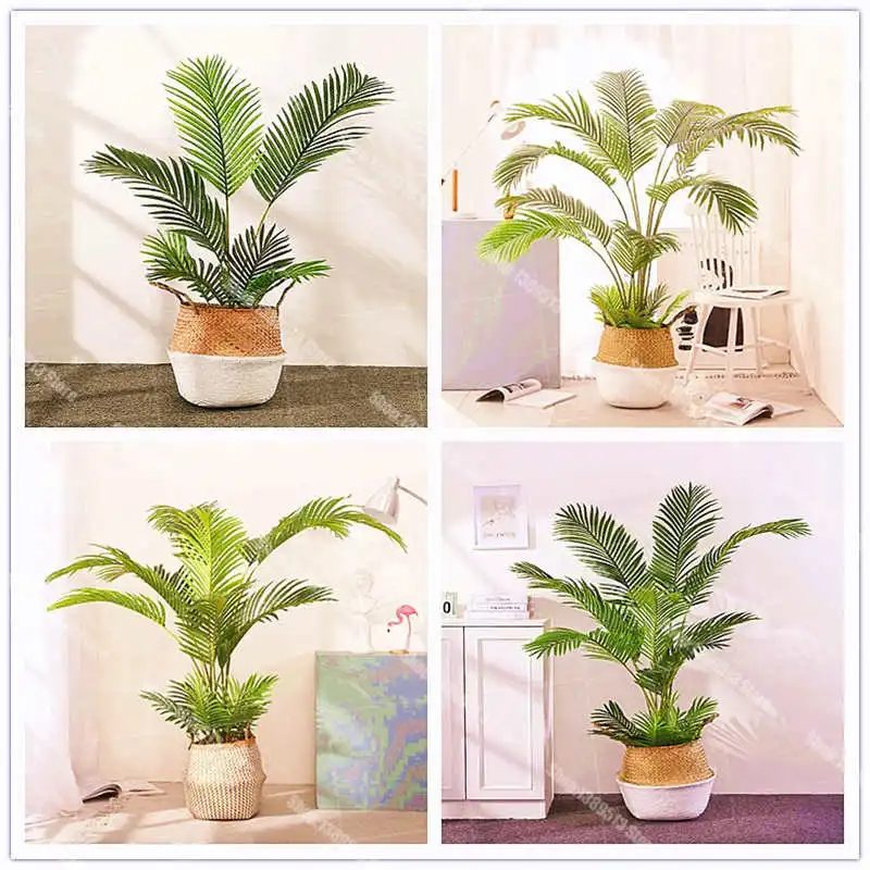 10 Pcs/Bag Rare Palm Plant Bonsai Plant Indoor Flower Family Garden Potted Planting Decorative Plant 
10 Pcs/Bag Rare Palm Plant Bonsai Plant Indoor Flower Family Garden Potted Planting Decorative Plant