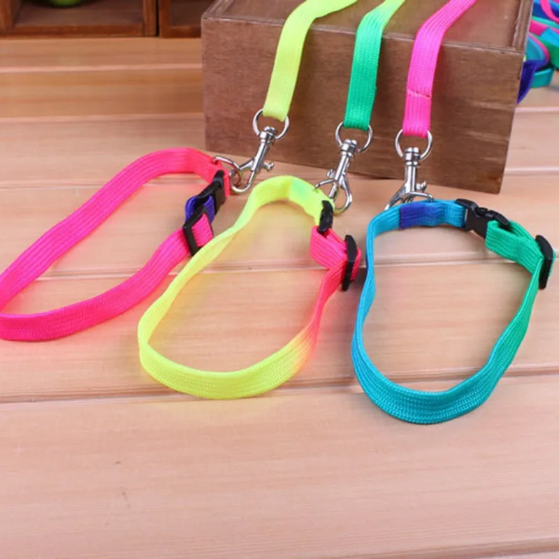 Fashion Puppy Dog Collar Set Rainbow Traction Rope Nylon Pet Collar and Leash Adjustable Small Perro Supplies
Fashion Puppy Dog Collar Set Rainbow Traction Rope Nylon Pet Collar and Leash Adjustable Small Perro Supplies