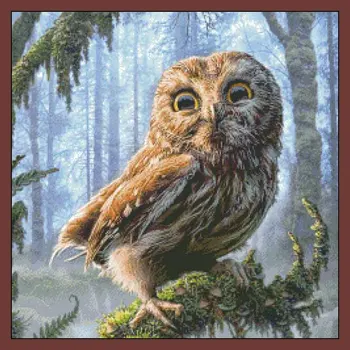 Needlework,DIY 14CT Unprinted Cross stitch,Sets For Embroidery kits,Jungle Owl Counted Cross-Stitching,Wall Home Animal
Needlework,DIY 14CT Unprinted Cross stitch,Sets For Embroidery kits,Jungle Owl Counted Cross-Stitching,Wall Home Animal