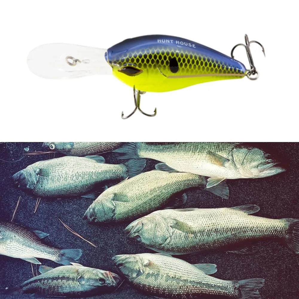 strike king fishing lures 100mm 75mm deep diving crankbait 6th Sense Silent Series Deep Diver Crankbaits dancer DT crank lure
strike king fishing lures 100mm 75mm deep diving crankbait 6th Sense Silent Series Deep Diver Crankbaits dancer DT crank lure