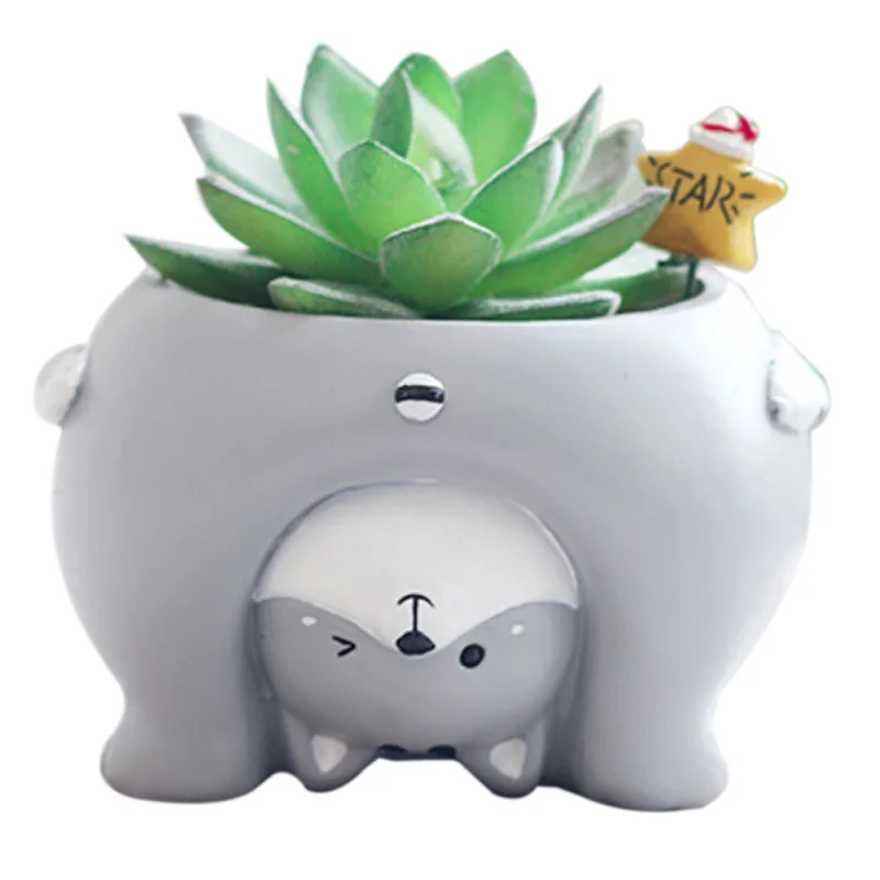 Micro Natural Resin Flower Pot Nverted Animal Design Meat Plant Flower Pot Garden Home Office Decor Home Garden Decoration
Micro Natural Resin Flower Pot Nverted Animal Design Meat Plant Flower Pot Garden Home Office Decor Home Garden Decoration