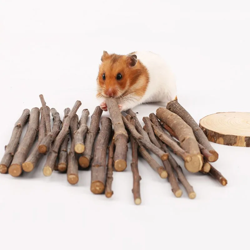 5pcs 10pcs Chew Stick Apple Tree Branch Hamster Squirrel Natural Toys Parrots Rabbits Grinding Stick
5pcs 10pcs Chew Stick Apple Tree Branch Hamster Squirrel Natural Toys Parrots Rabbits Grinding Stick