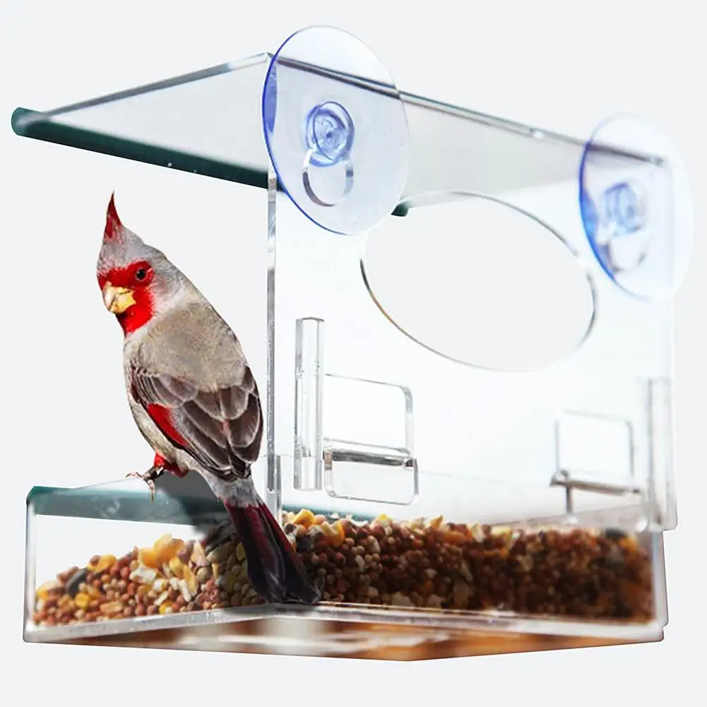 Removable Bird Window Feeder Seed Tray Food Container Suction Cup Feeding Bowl Useful
Removable Bird Window Feeder Seed Tray Food Container Suction Cup Feeding Bowl Useful
