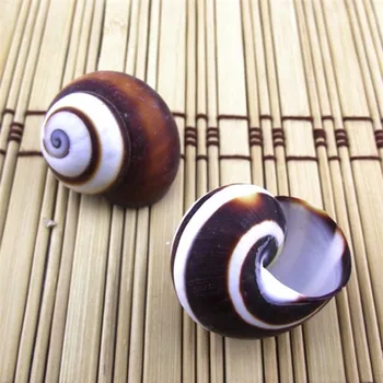 Brown bread screw 2.5 cm table fish tank The wedding arrangement Small conch shells hermit crabs
Brown bread screw 2.5 cm table fish tank The wedding arrangement Small conch shells hermit crabs