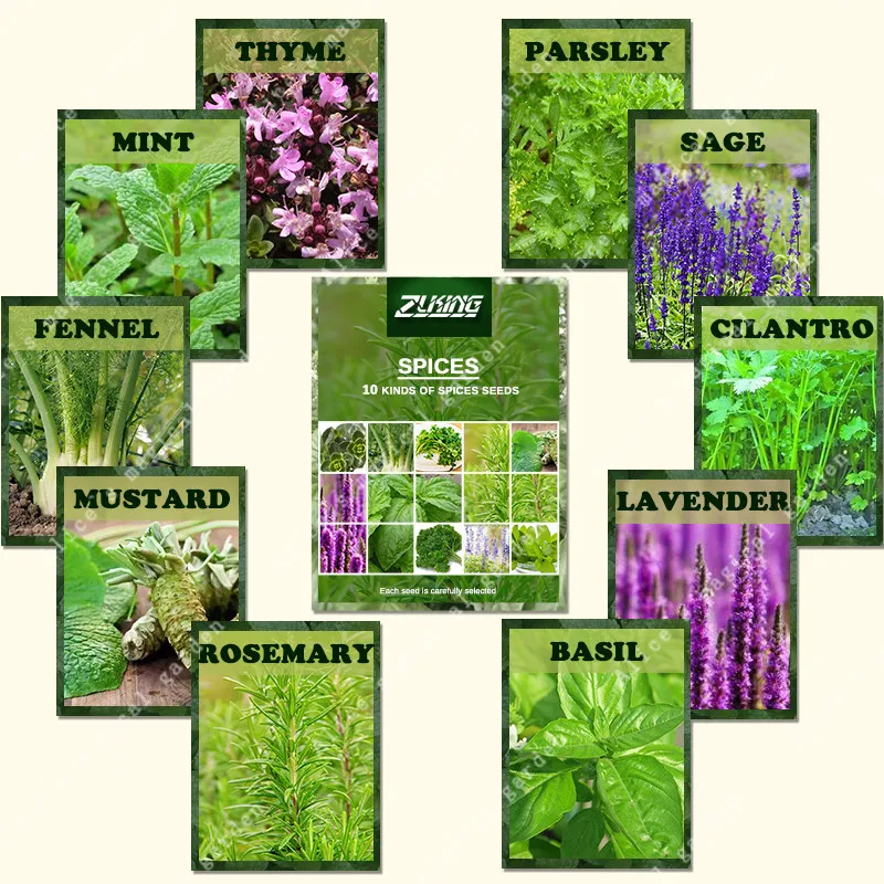ZLKING 1100 Basil, Lavander, Creeping Thyme Mix Spice Combo True Flower For Home Garden DIY Bonsai Planting Heirloom
ZLKING 1100 Basil, Lavander, Creeping Thyme Mix Spice Combo True Flower For Home Garden DIY Bonsai Planting Heirloom