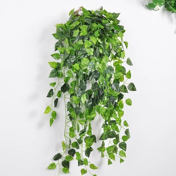 Plucking flower plants green rattan cane on fake ivy vine wall of the living room wall decoration
Plucking flower plants green rattan cane on fake ivy vine wall of the living room wall decoration