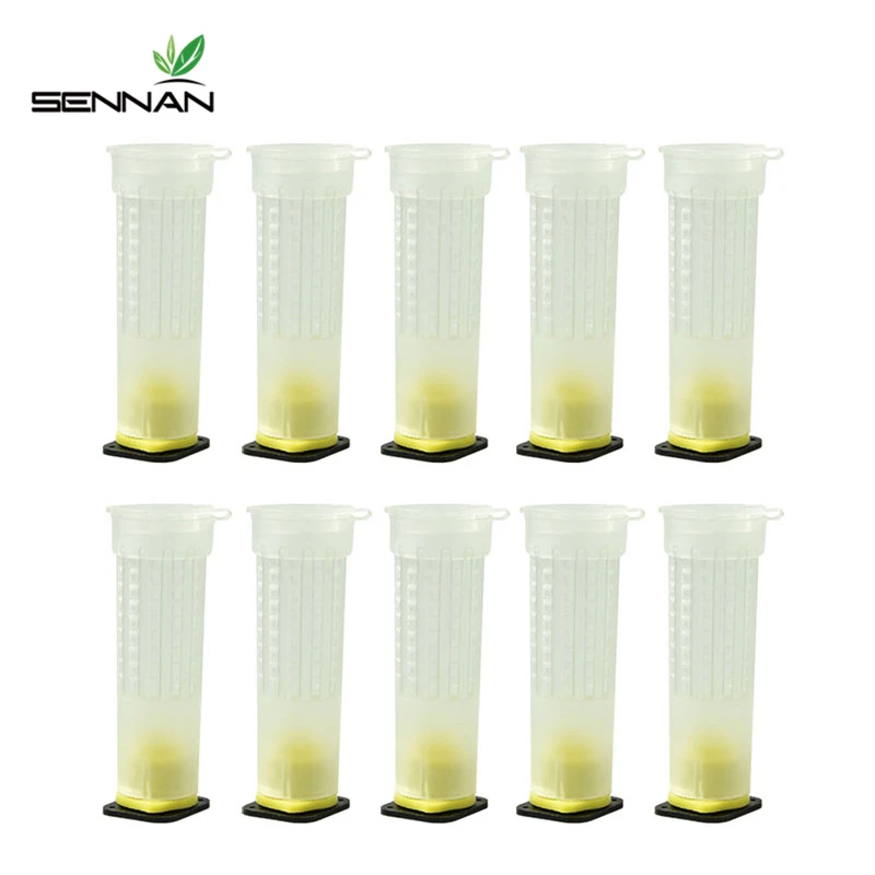 SenNan 100 Sets Bee Equipment Queen Cage 7.6cm 2.6cm Diameter The New Beekeeping Equipment Insects Tools Wholesale Bee Feeder
SenNan 100 Sets Bee Equipment Queen Cage 7.6cm 2.6cm Diameter The New Beekeeping Equipment Insects Tools Wholesale Bee Feeder
