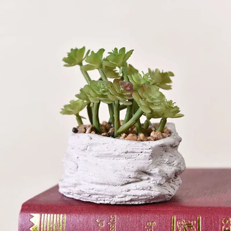 Simulation Succulent Potted Ins Stone Fleshy Artificial Flower Desk Green Bonsai Ornaments
Simulation Succulent Potted Ins Stone Fleshy Artificial Flower Desk Green Bonsai Ornaments