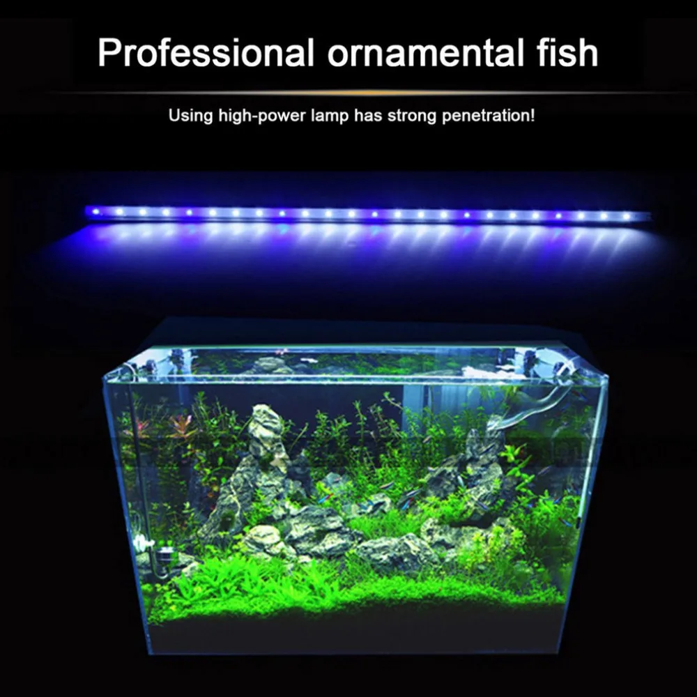 2 Colors Aquarium Fish Tank LED Light Amphibious Use White Blue/Red Blue Green Light Color Submersible Waterproof Clip Lamp
2 Colors Aquarium Fish Tank LED Light Amphibious Use White Blue/Red Blue Green Light Color Submersible Waterproof Clip Lamp