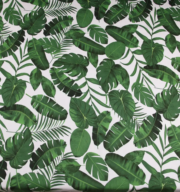 Monstera Banana Leaves White Background Stretch Cotton Fabric for Woman Girl Summer Dress Skirt Pants Cushion Cover Sewing-AF618
Monstera Banana Leaves White Background Stretch Cotton Fabric for Woman Girl Summer Dress Skirt Pants Cushion Cover Sewing-AF618