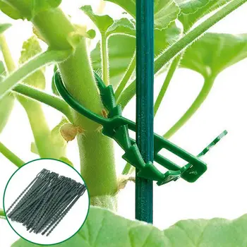 50pcs Reusable Plant Vines Fixed Lashing Hook Adjustable Agricultural Greenhouse Vegetable Garden Plastic Cable Ties 17.5x0.8cm
50pcs Reusable Plant Vines Fixed Lashing Hook Adjustable Agricultural Greenhouse Vegetable Garden Plastic Cable Ties 17.5x0.8cm