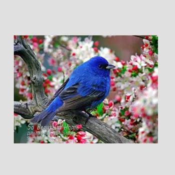 New Arrive!Diy diamond Painting pattern Cross Stitch full diamond embroidery Blue Bird Flowers Diamond Mosaic Needlework SH6889
New Arrive!Diy diamond Painting pattern Cross Stitch full diamond embroidery Blue Bird Flowers Diamond Mosaic Needlework SH6889