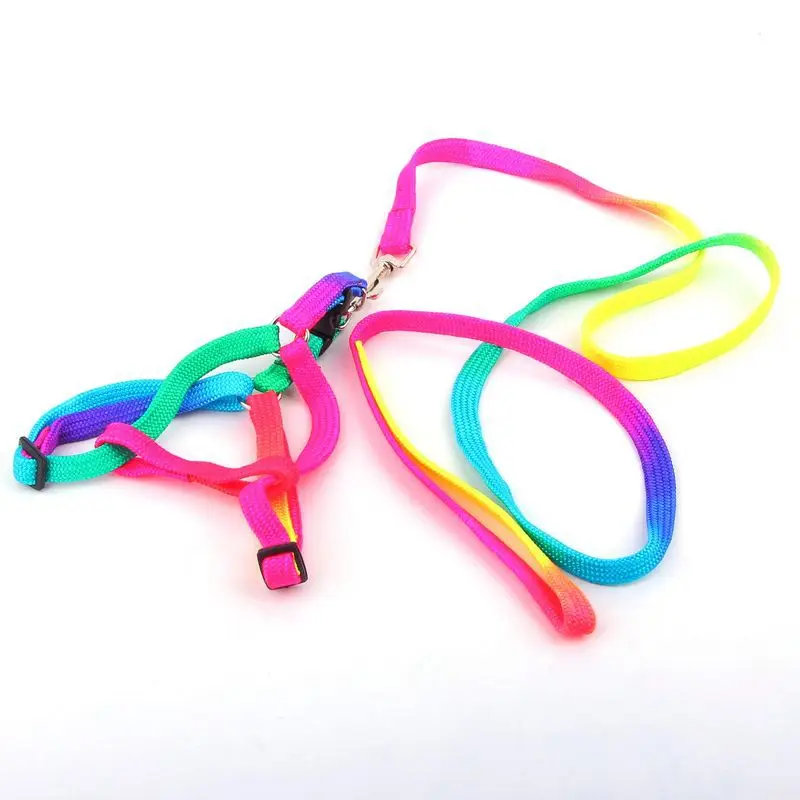 Cute puppy harness colorful rainbow color 1.0*110cm Soft Walking pet harness for small dogs pet products small dog harness
Cute puppy harness colorful rainbow color 1.0*110cm Soft Walking pet harness for small dogs pet products small dog harness
