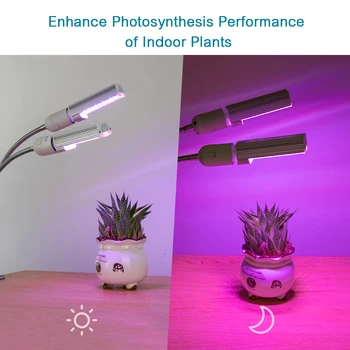 LED Grow Light Grow Lamp Bulb for Indoor Plants Sunlike Red and Blue or Full Spectrum Clip-On Desk Replaceable Bulb - EU Plug
LED Grow Light Grow Lamp Bulb for Indoor Plants Sunlike Red and Blue or Full Spectrum Clip-On Desk Replaceable Bulb - EU Plug