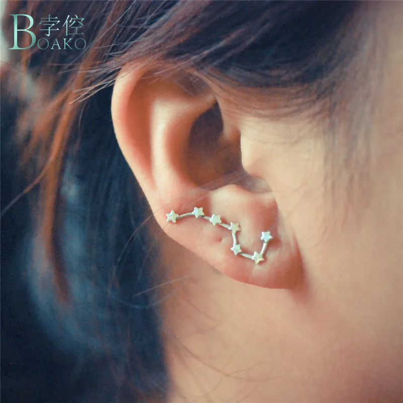Girls Leo Zodiac Sign Colorful Ear Studs 925 Sterling Silver