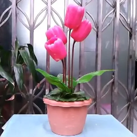 The living Tulip / Stage flower magic - trick,Fire magic Magic trick classic toys,accessories,gimmick
The living Tulip / Stage flower magic - trick,Fire magic Magic trick classic toys,accessories,gimmick