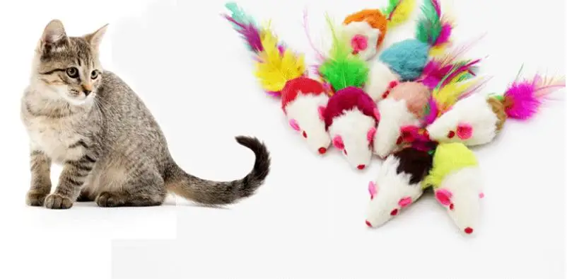 Cat toy color mouse feather rabbit skin mouse with gravel vocal DIY cat climbing frame 2 inch MICE C16
Cat toy color mouse feather rabbit skin mouse with gravel vocal DIY cat climbing frame 2 inch MICE C16