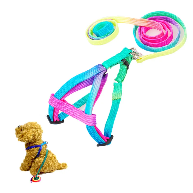 Adjustable Cat Pet Collar Harness Leash Set For Cats Dog Small Pets Breakaway Rainbow Nylon Rabbit Dogs Leash Katten Halsband
Adjustable Cat Pet Collar Harness Leash Set For Cats Dog Small Pets Breakaway Rainbow Nylon Rabbit Dogs Leash Katten Halsband