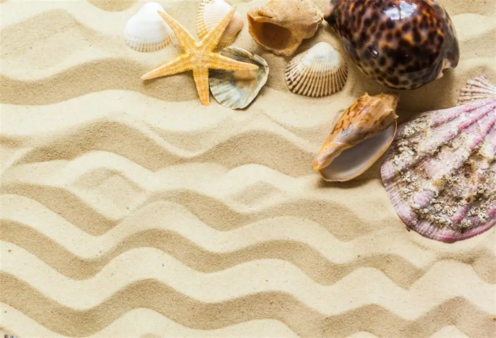 Laeacco Beach Sand Tropical Starfish Shell Coral Holiday Baby Party Photo Backgrounds Photography Backdrops For Photo Studio
Laeacco Beach Sand Tropical Starfish Shell Coral Holiday Baby Party Photo Backgrounds Photography Backdrops For Photo Studio