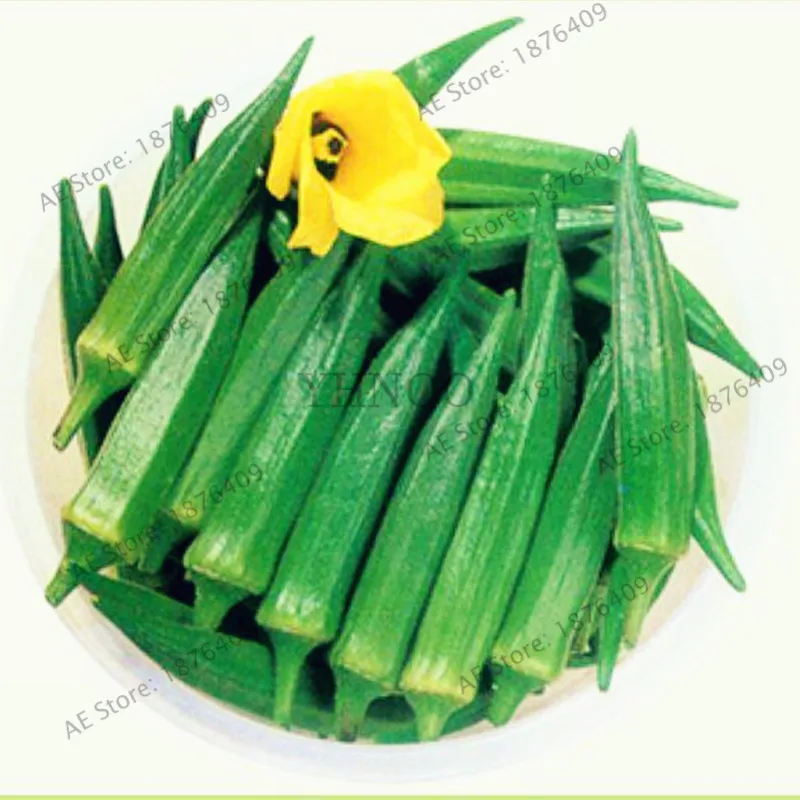 20pcs/bag Okra bonsai,Organic Okra vegetable flores Non GMO For Garden Supplies For Fun Countryside Garden potted plants
20pcs/bag Okra bonsai,Organic Okra vegetable flores Non GMO For Garden Supplies For Fun Countryside Garden potted plants